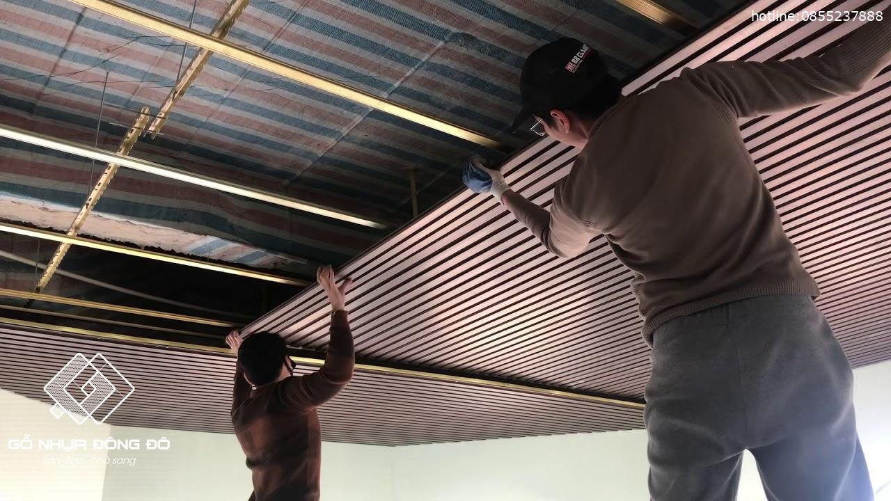 Gỗ nhựa đông đô
