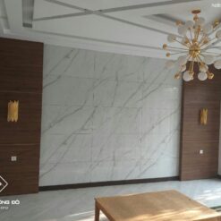Tấm Nhựa Ốp Tường Giả Đá Giá Rẻ, Bền Đẹp | Gỗ Nhựa Đông Đô 37 Tam Op Tuong Van Da 9