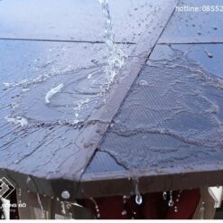 Choi Nghi San Vuon 5