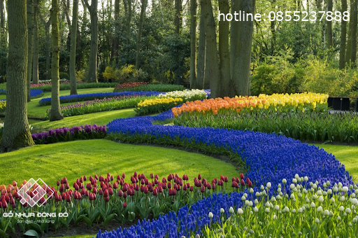 Màu Sắc Trong Thiết Kế Sân Vườn