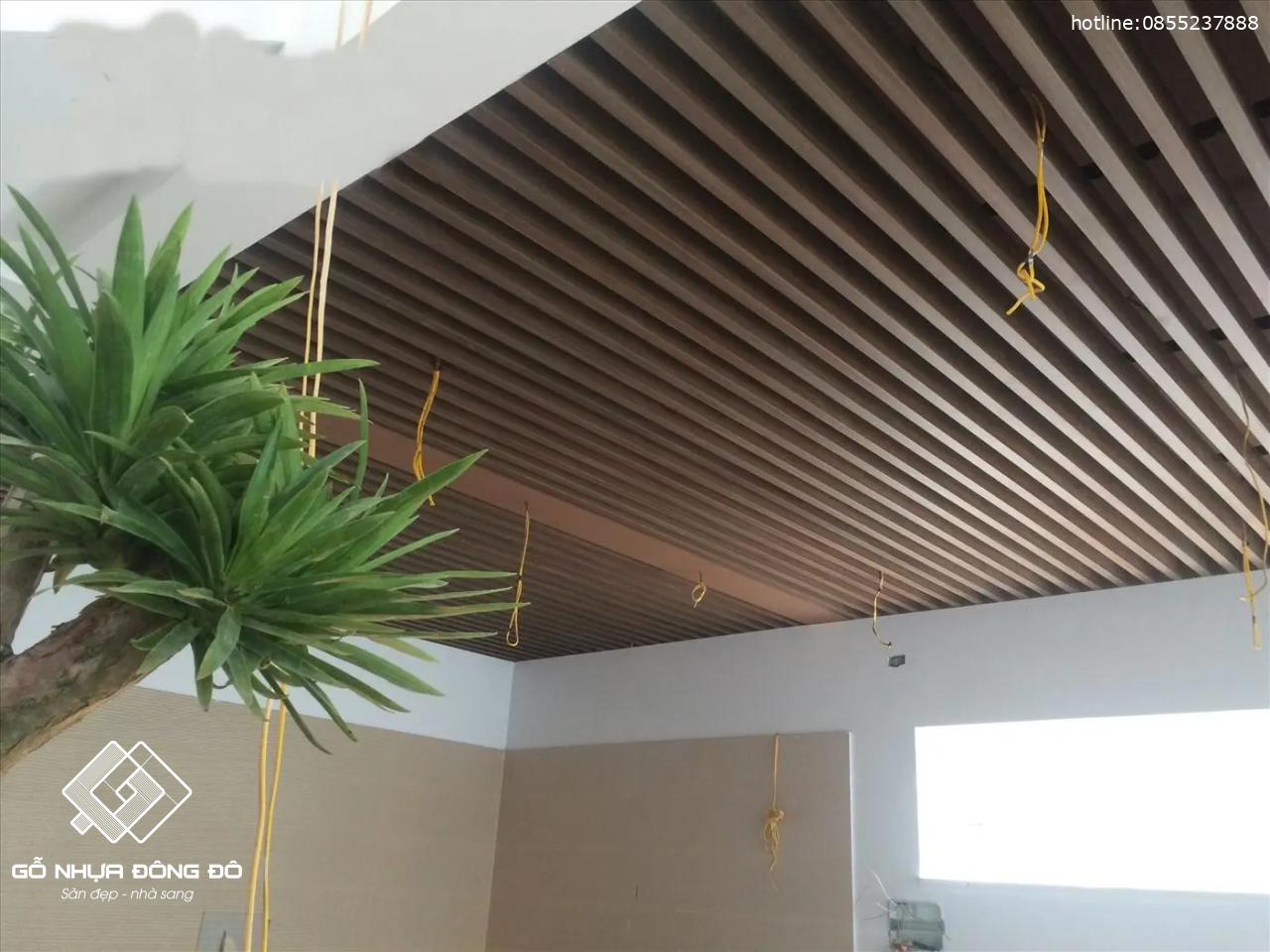 Thanh nan trần - vật liệu nội thất mới nhất hiện nay Thanh Nan Trần - Vật Liệu Nội Thất Mới Nhất Hiện Nay